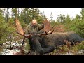 Kevin&#39;s quest for a Newfoundland trophy moose.