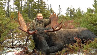 Kevin&#39;s quest for a Newfoundland trophy moose.