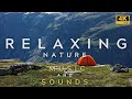 4K | Relax | Just Breath and Relax | Relaxing Music and Nature Sounds to Focus or Sleep Better