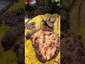 إملي الكنبة يابت منك ليها إملي وميهمكيش