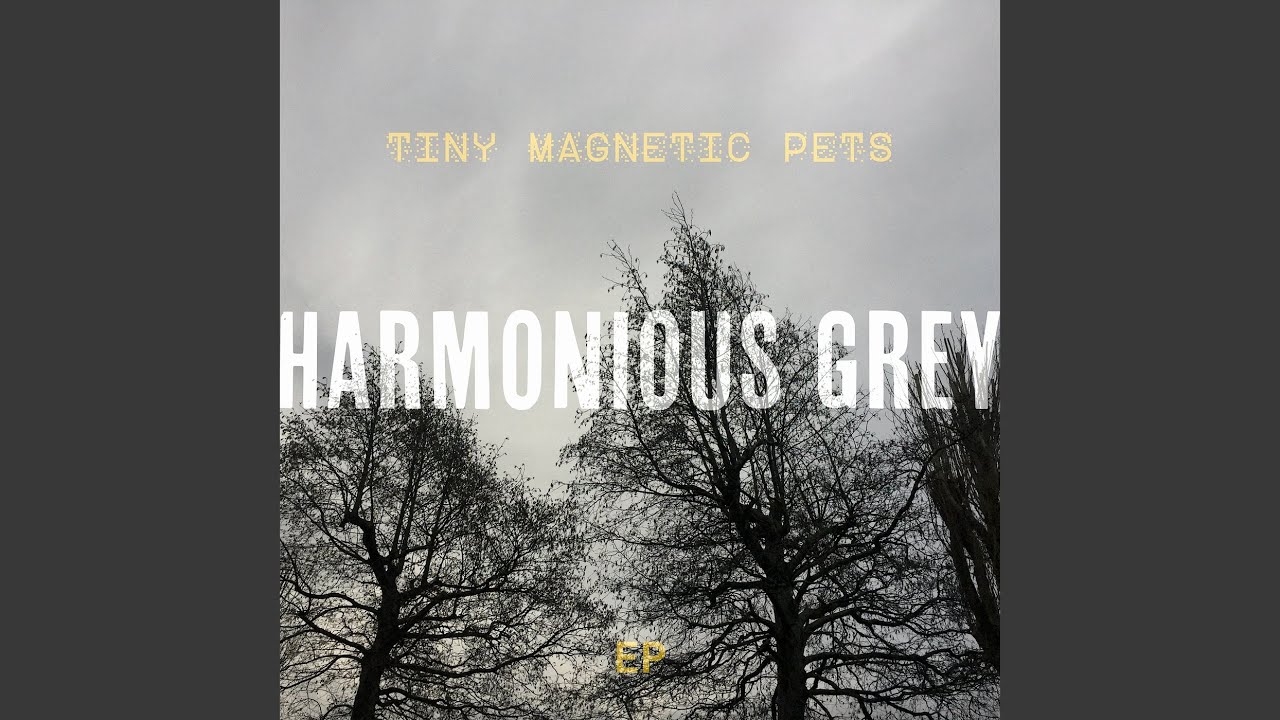 Watch Harmonious Grey on YouTube Watch Harmonious Grey on YouTube