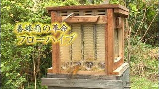 Beeワールドin日本 養蜂箱の革命フローハイブ 篇｜山田養蜂場