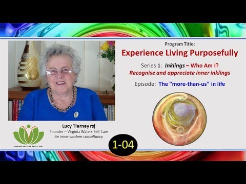 4. The "More-than-Us” in Life