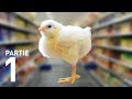 SÉOUL ! - LE RIRE JAUNE - YouTube