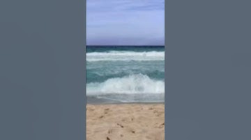 ٣٠ سبتمبر، ٢٠٢٤مقطع من سورة آل عمران