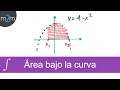 Área bajo la curva│ejercicio 2