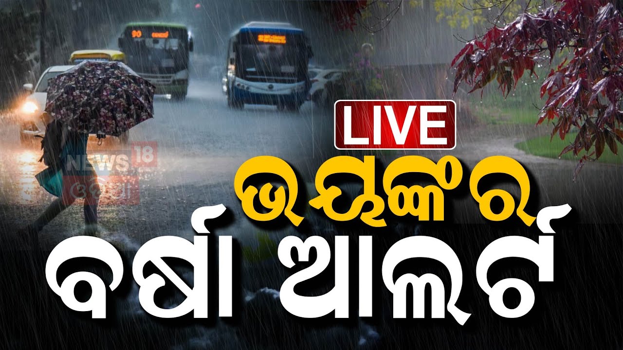 Live: ଲଘୁଚାପ ପ୍ରଭାବରେ ବର୍ଷା Low Presure Rain In Odisha | Weather Update | Odisha Rain