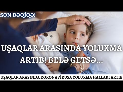 Video: Köpək Qulağına Yoluxma Və Iltihab