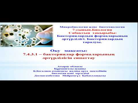 Бейне: Бауырымен жорғалаушылардағы қан құрамындағы бактериялар