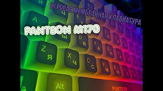 Мембранная клавиатура PANTEON M170!