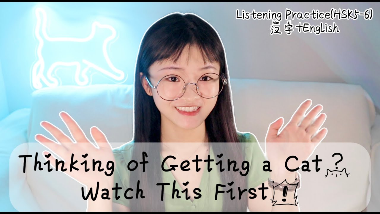 (HSK5/6)Before You Get a Cat: Everything I Wish I Knew as a First-Time Cat Mom