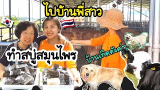 EP.126/ทำสบู่สมุนไพรยี่ห้อเกาหลีใช้เองง่ายๆ/ไปบ้านพี่สาว/เเม่บ้านเกาหลี/สะใภ้เกาหลี by Korean