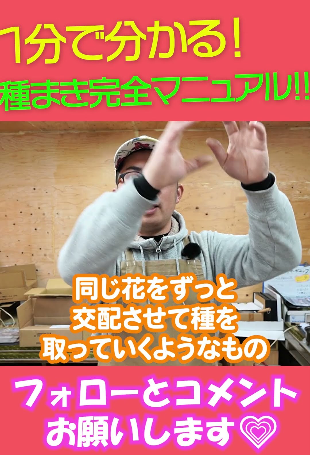 Complete Guide to Sowing Seeds 1 About Seeds #shorts 354 Gardening