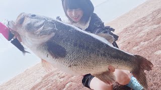 琵琶湖北湖の怪獣ブラックバス6キロオーバー【明日ツララ】