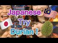 🇯🇵🇲🇾Durian! Japanese Girls try Durian and become addict to Durian？！🇯🇵🇲🇾