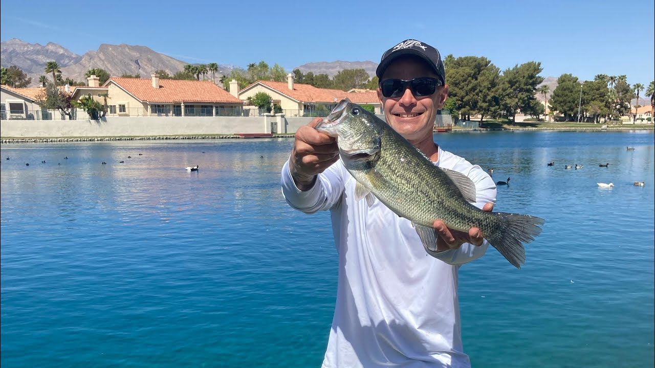#1 place too Catch Bass in Las Vegas!!! #bassfishing