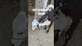 2027 Ke Janwar Aa Gaye! Future Animals Ka Scene Dekho*