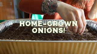 Easy HomeGrown Onions