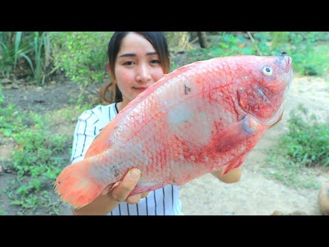 yummy-tilapia-fish-cooking-ginger---tilapia-frying-ginger-recipe---cooking-with-sros