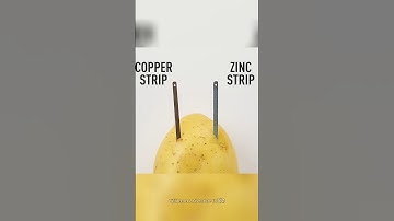 Life hacks Adam Rose #adam #hacks #rose #lifehacks #tipsandtricks #tips