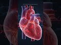 Your Body is More Powerful Than You Think 😳Did You Know These Human Body Facts?#facts #science