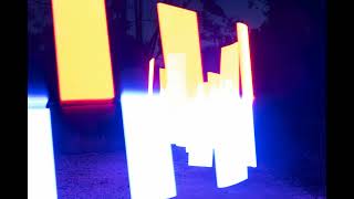 V.I.P-Neon Groove