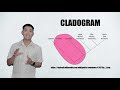 General biology 2 relationships from evidence of evolution