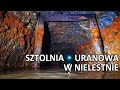 Sztolnia dawnej kopalni uranu w Nielestnie