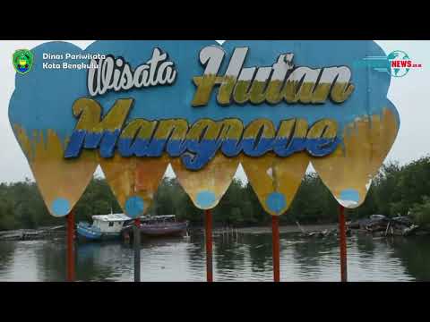 Mengunjungi Hutan Mangrove Kampung Sejahtera di Kota Bengkulu