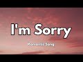 I M Sorry Heartfelt Apology Love Song Lyrics Emotional English Song 2025