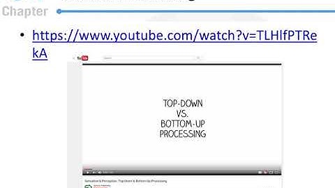 Sensation and Perception: Introduction to Perception Part 2