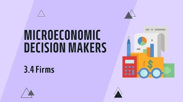 IGCSE Economics: Chapter 3.4 Firms (Updated for 2027 syllabus)