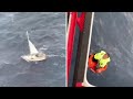 Barca in avaria tra le onde: il soccorritore si cala dall’elicottero per recuperare il naufrago