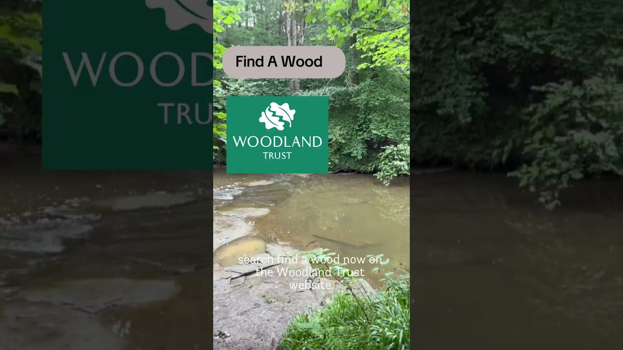 Woodland adventure: spend the day with Alana