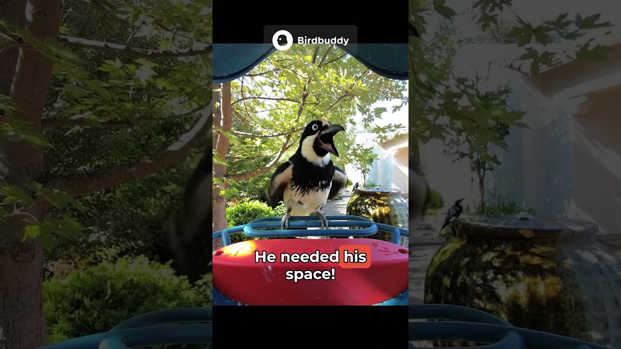 Astronauts Need Their Space! 🚀 