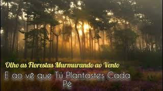 harpa Cristã 🎶 Grandioso és Tú Nicoli Francini 🎶