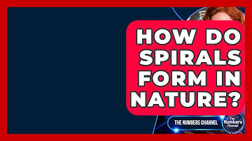 How Do Spirals Form In Nature? - The Numbers Channel