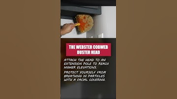 🕸️ The Webster Cobweb Duster Makes Cleaning Up After Spiders Quick and Sanitary!