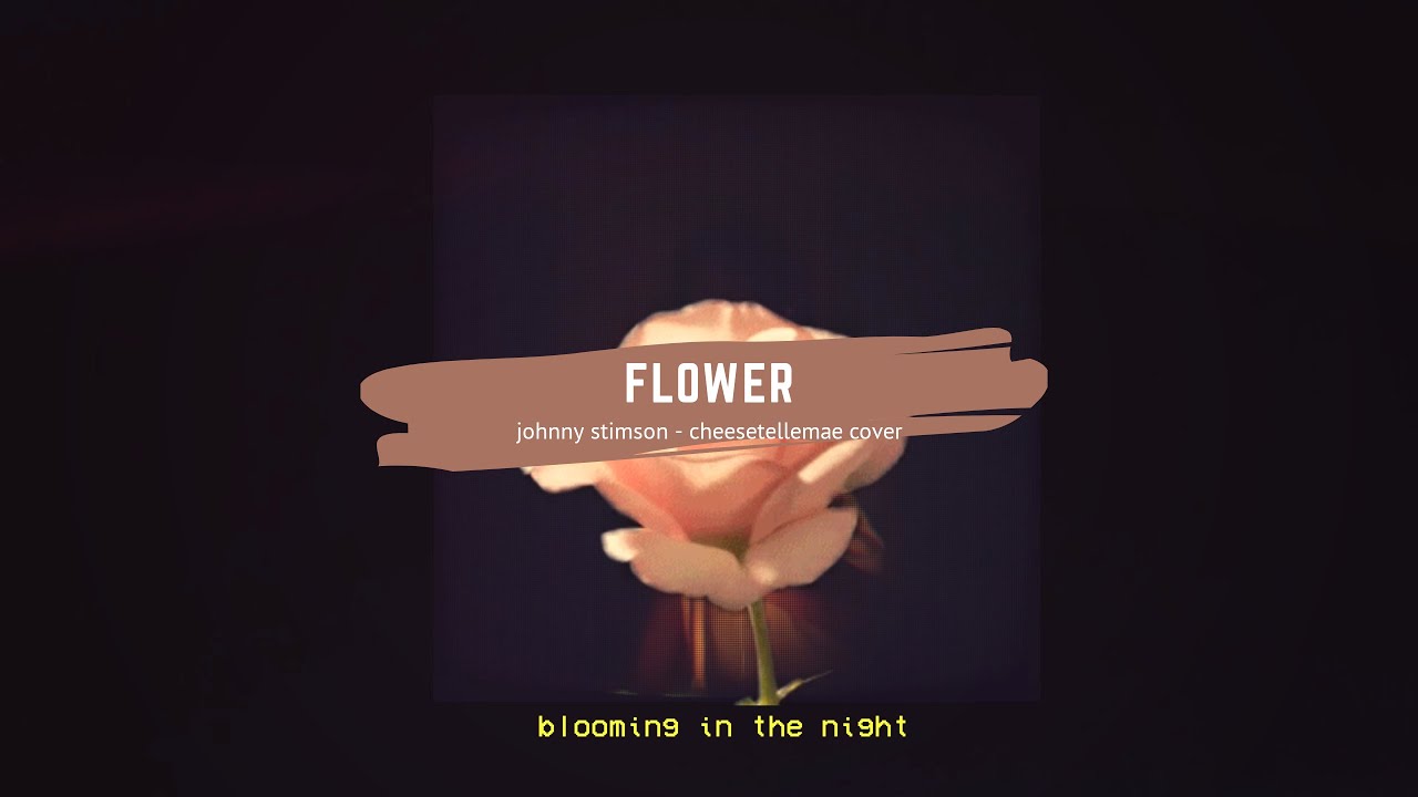 flower johnny stimson cover 🌷 (visualizer) YouTube