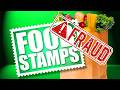 FIVE Major Fraud, Waste, and Abuse Busts