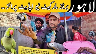 Lahore sunday birds market New update price || 2842024 #lahorientertainmentchannel #lahori