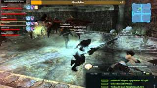 Vindictus-Epic Giant Spider Fail