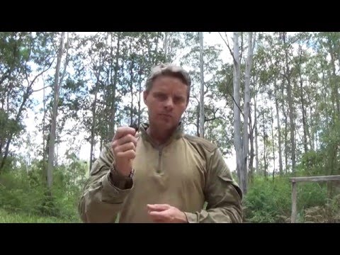 How to use a button (Survival) compass