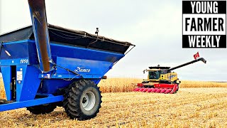 Hutterite Corn Harvest 2020 | Fall Field Work