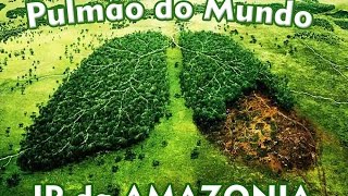 Pulmão do Mundo - JP DA AMAZONIA