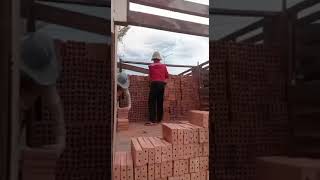 IMG 8717