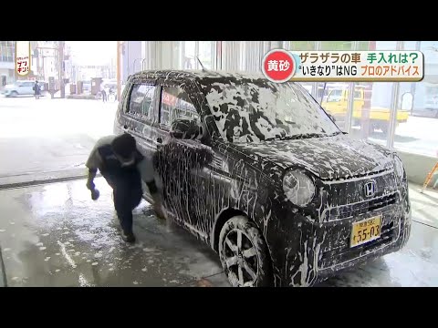 車についた「黄砂」どうする？いきなり濡れたタオルで拭くのはNG！車体を傷つけるケースも