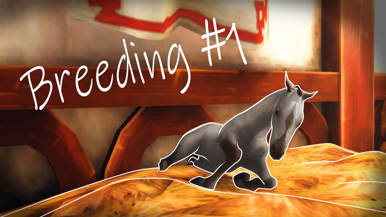 [Alicia Online Breeding #1] - Fails, fails and fails QuQ