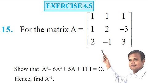 DETERMINANTS Exercise 4.5 Q15 NCERT Class 12 | IIT JEE