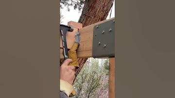Building a TREEHOUSE! (In 30 Seconds) #treehouse #shorts